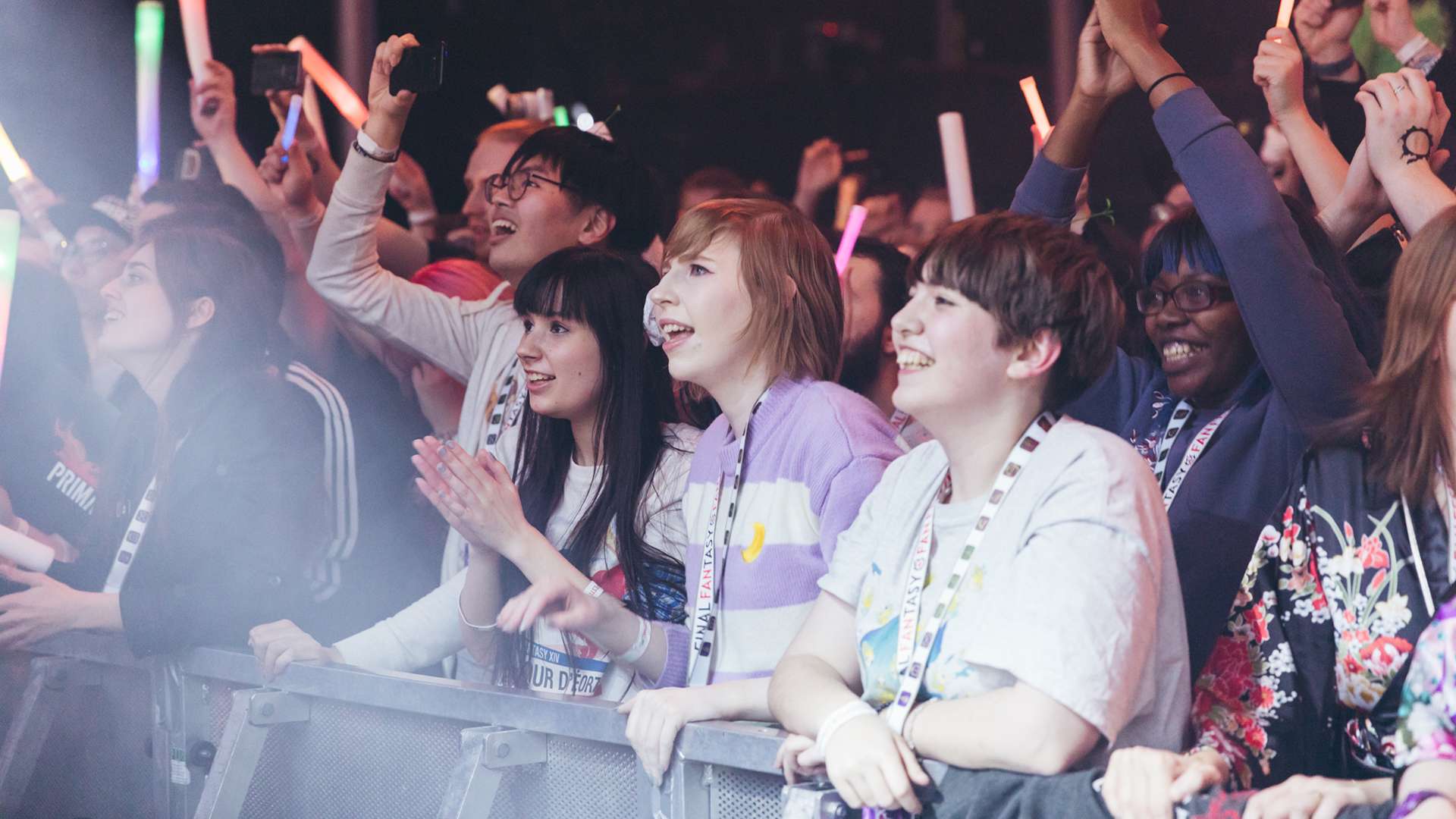 Ein Foto einer begeisterten Menschenmenge, aufgenommen auf einem vorherigen Fan Festival.