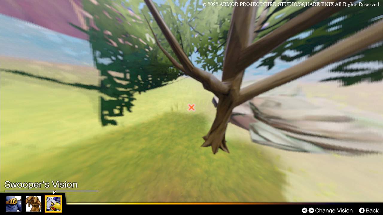 Swooper's Vision