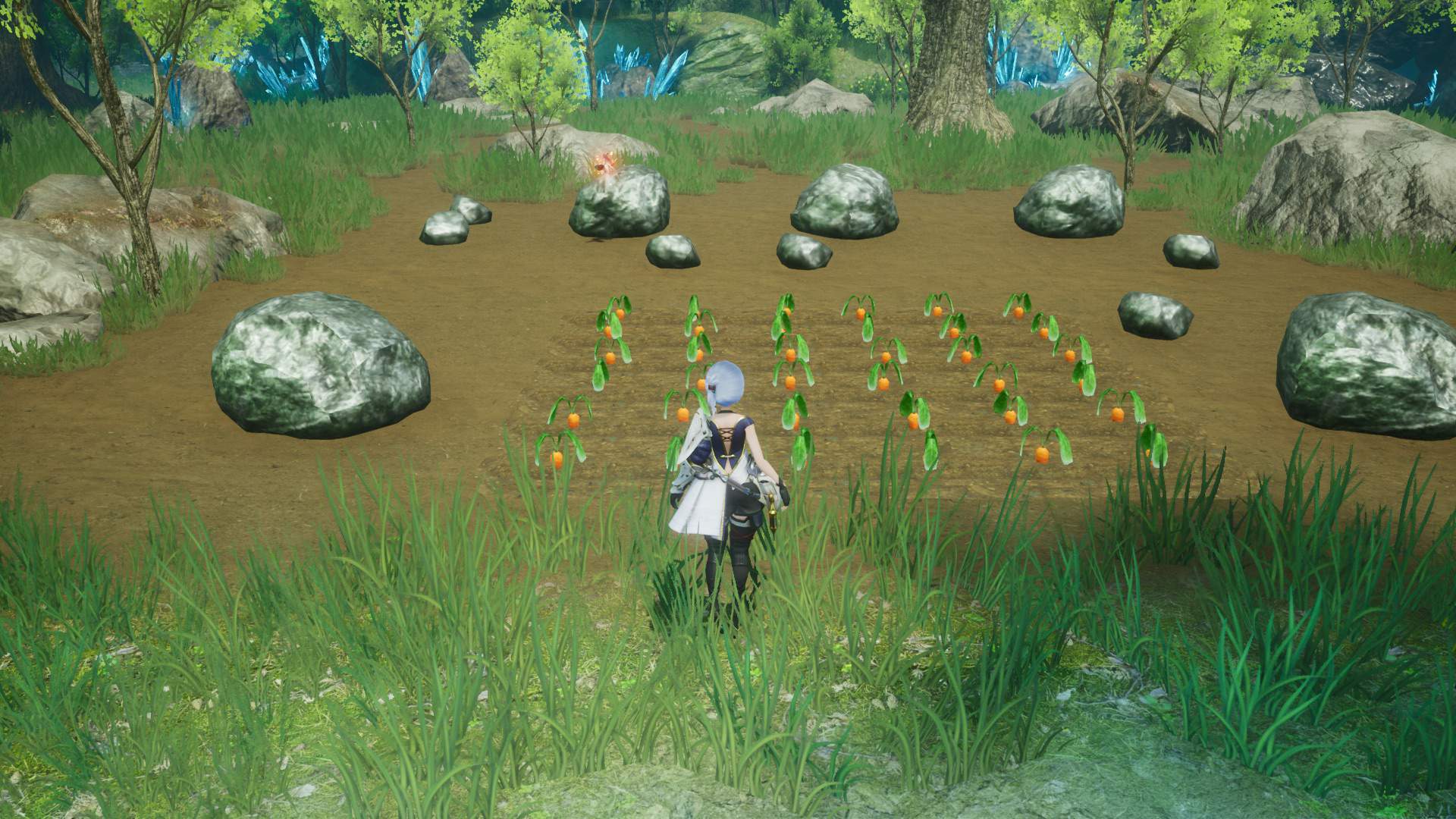 A small field in Harvestella