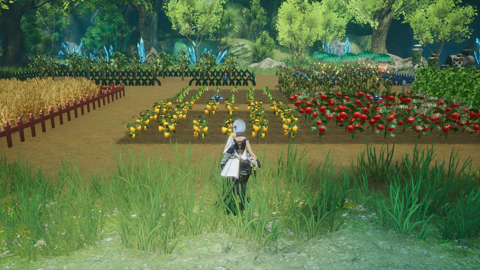 An expanded field full of crops in Harvestella