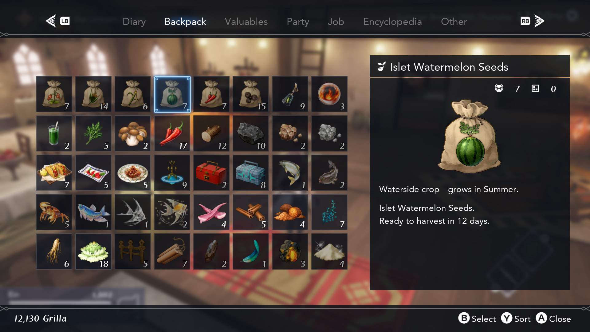 Islet Watermelon Seeds