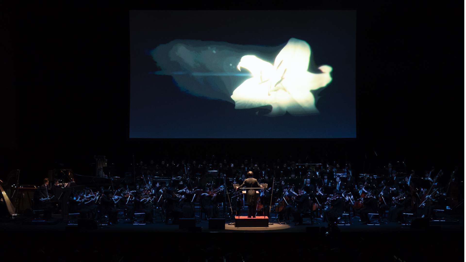NieR:Orchestra Concert coming to Chicago, London and Bangkok