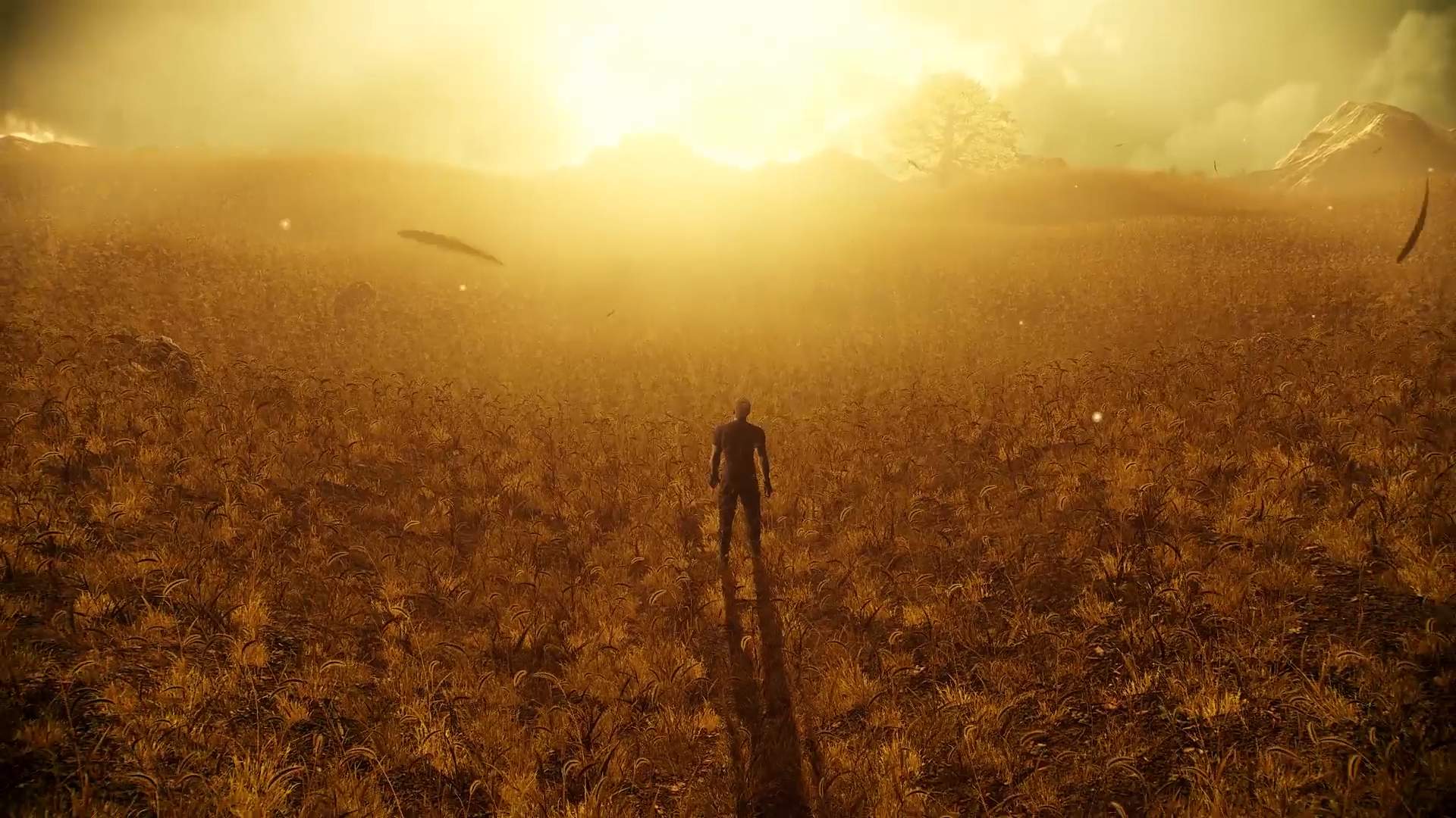 Jack stands in a sun-drenched wheat field.